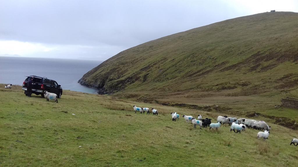 Achill West Coast House Bed and Breakfast Dooagh Exteriör bild