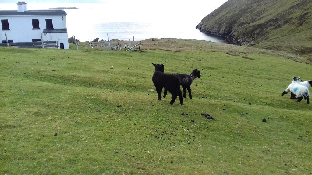 Achill West Coast House Bed and Breakfast Dooagh Exteriör bild